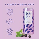 Dash Water Sparkling Water Blackcurrant 330ml Cans PK12
