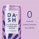 Dash Water Sparkling Water Blackcurrant 330ml Cans PK12