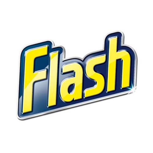 Flash Logo