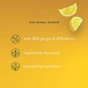 Pukka Organic Lemon Ginger Touch of Manuka Honey Tea Bags PK20