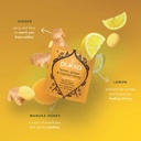Pukka Organic Lemon Ginger Touch of Manuka Honey Tea Bags PK20