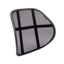Contour Ergonomics Mesh Fabric Back Support Black