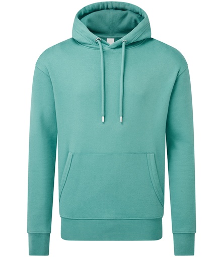Anthem Organic Hooded Sweatshirt AM001 Teal